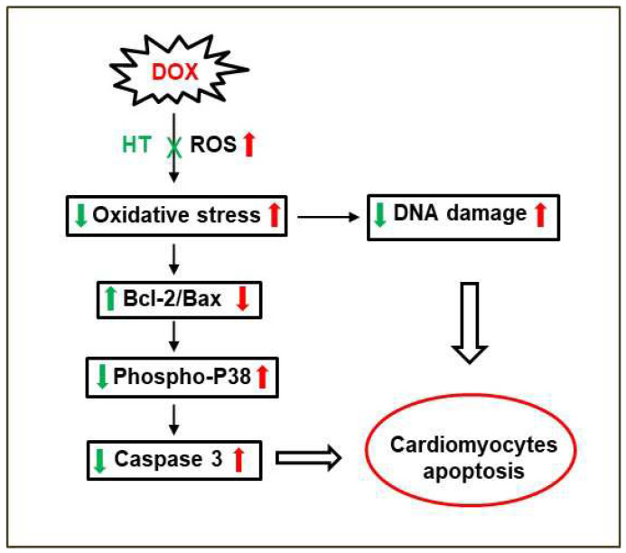 Figure 9