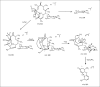 Fig. 2b