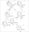 Fig. 2a