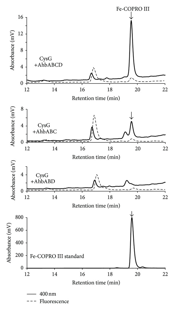 Figure 5