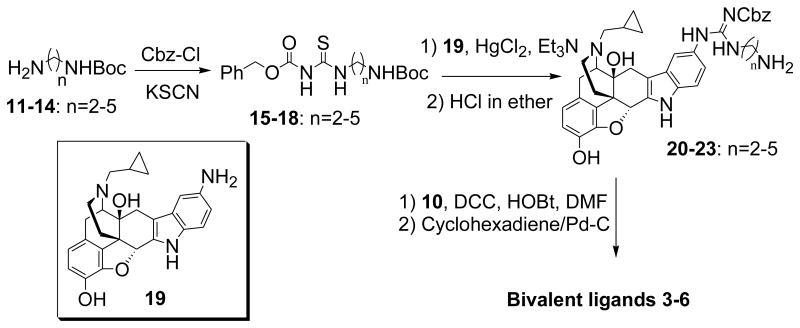 Scheme 2