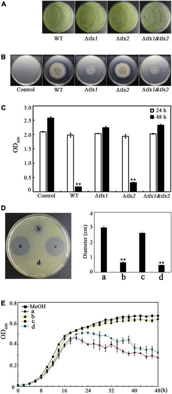 FIGURE 2