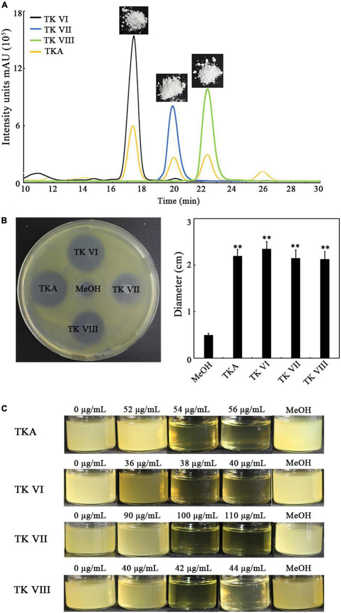 FIGURE 3