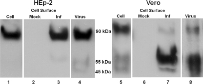 FIG. 4.