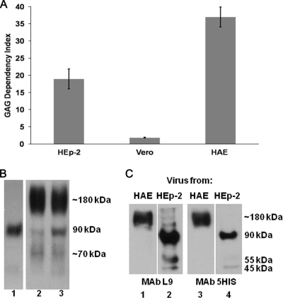 FIG. 6.