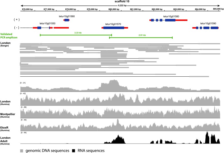 Figure 3.