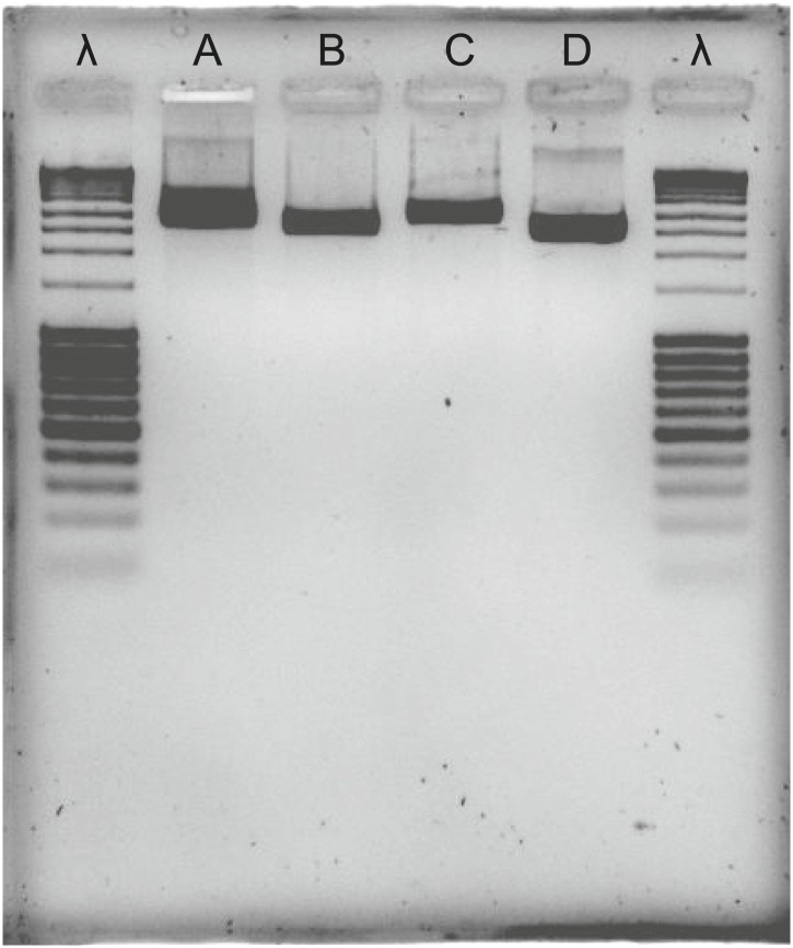 Figure 4—figure supplement 1.