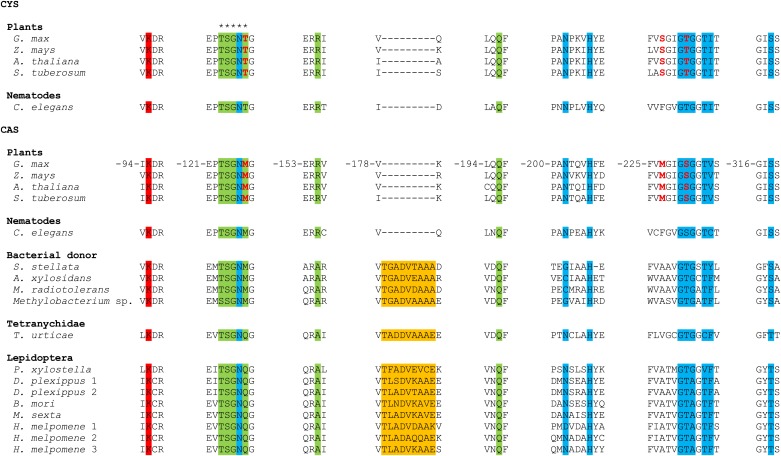 Figure 2—figure supplement 1.