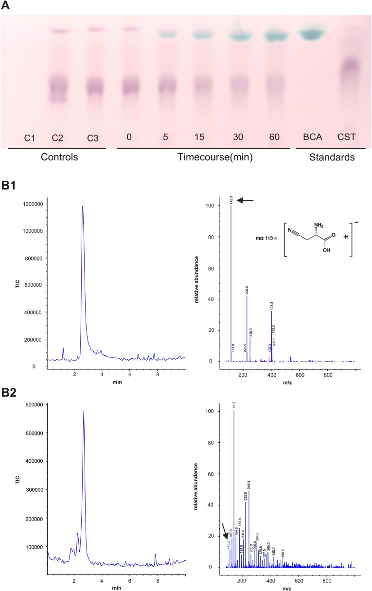 Figure 7.