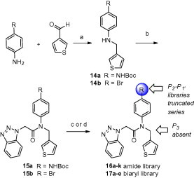 Scheme 3