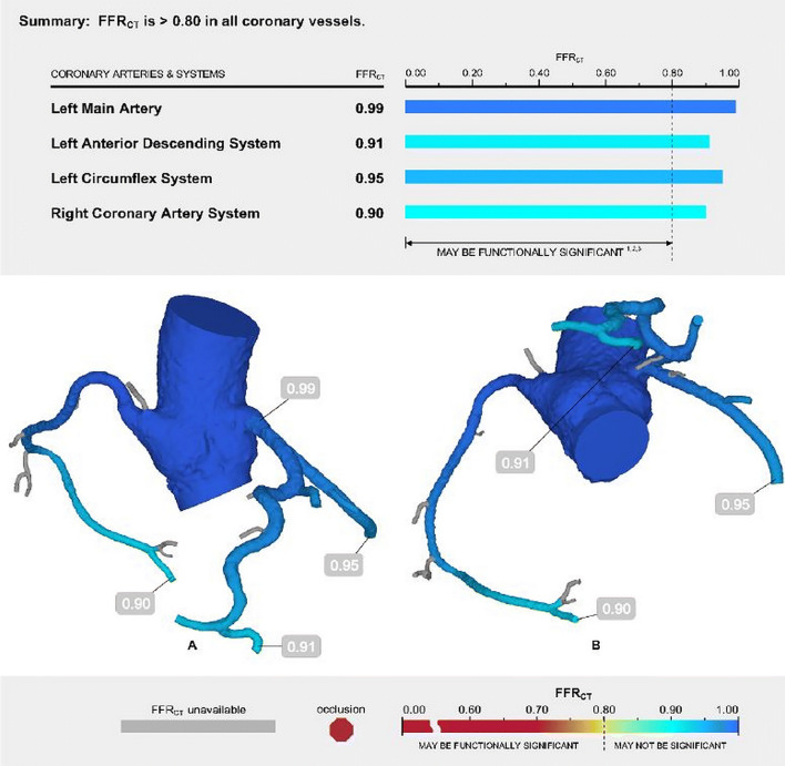 Fig. 10