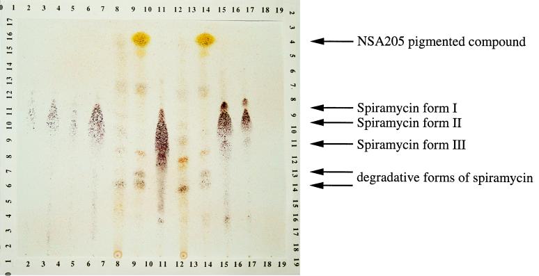 FIG. 6