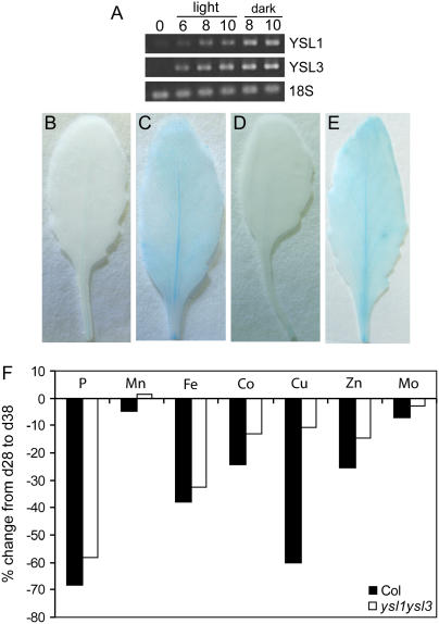 Figure 7.