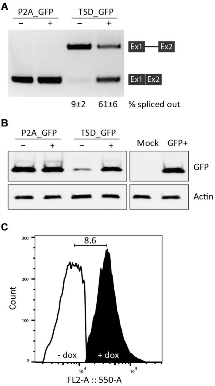 Figure 5.