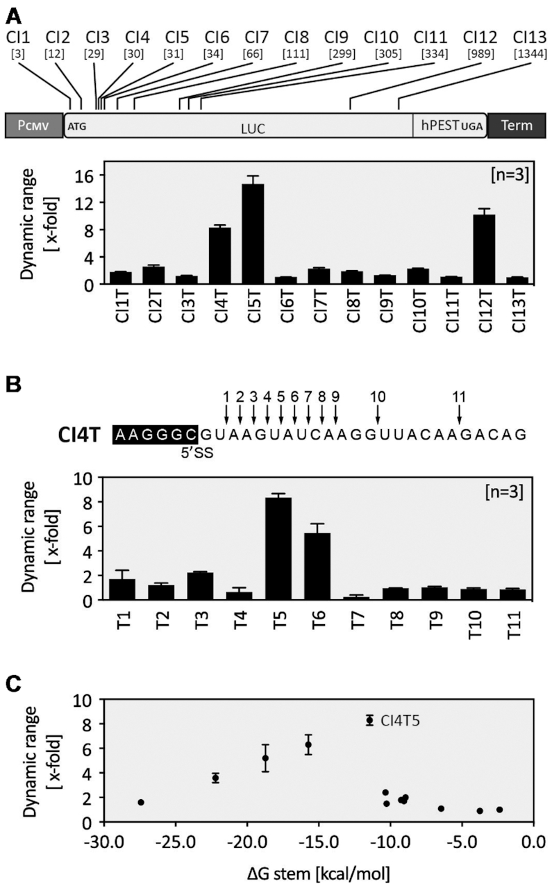 Figure 2.