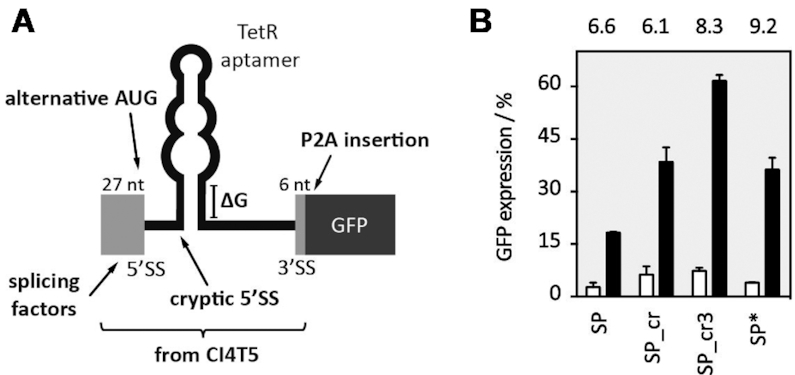 Figure 4.