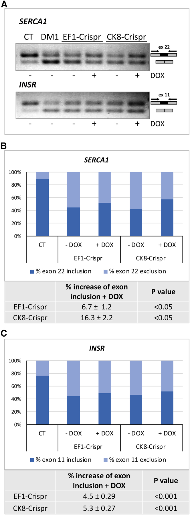 Figure 4