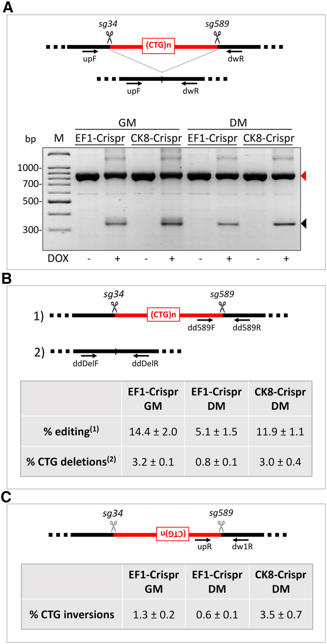 Figure 2