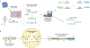 Fig. 2 |