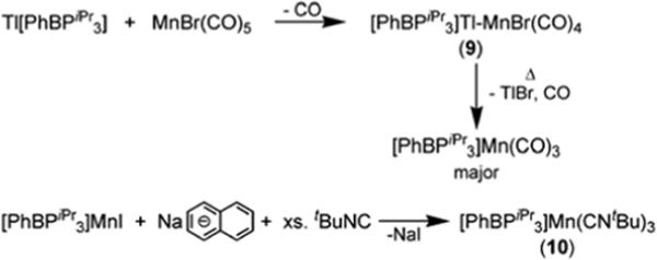 Scheme 4