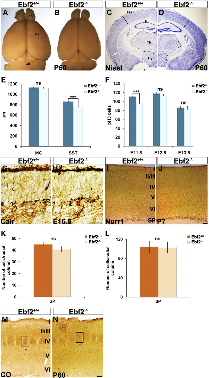 Supplementary Fig. 2