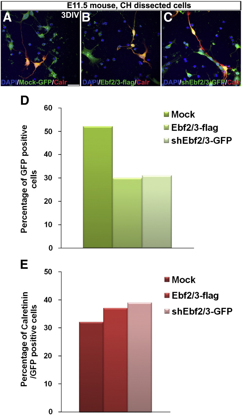 Supplementary Fig. 4