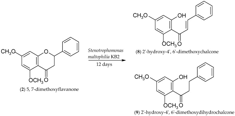 Scheme 3