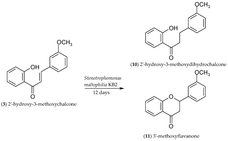 Scheme 6