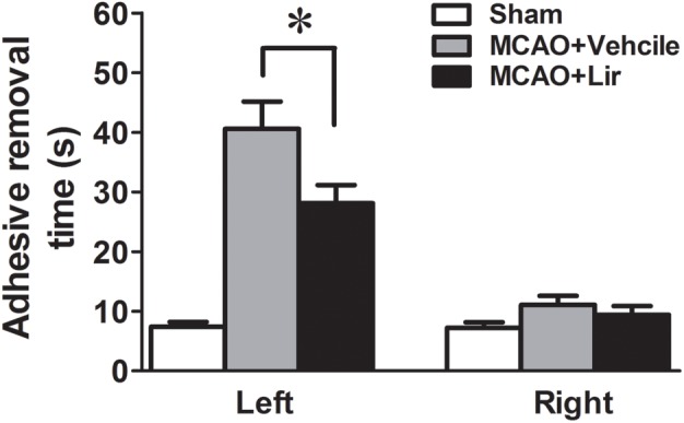 FIGURE 1