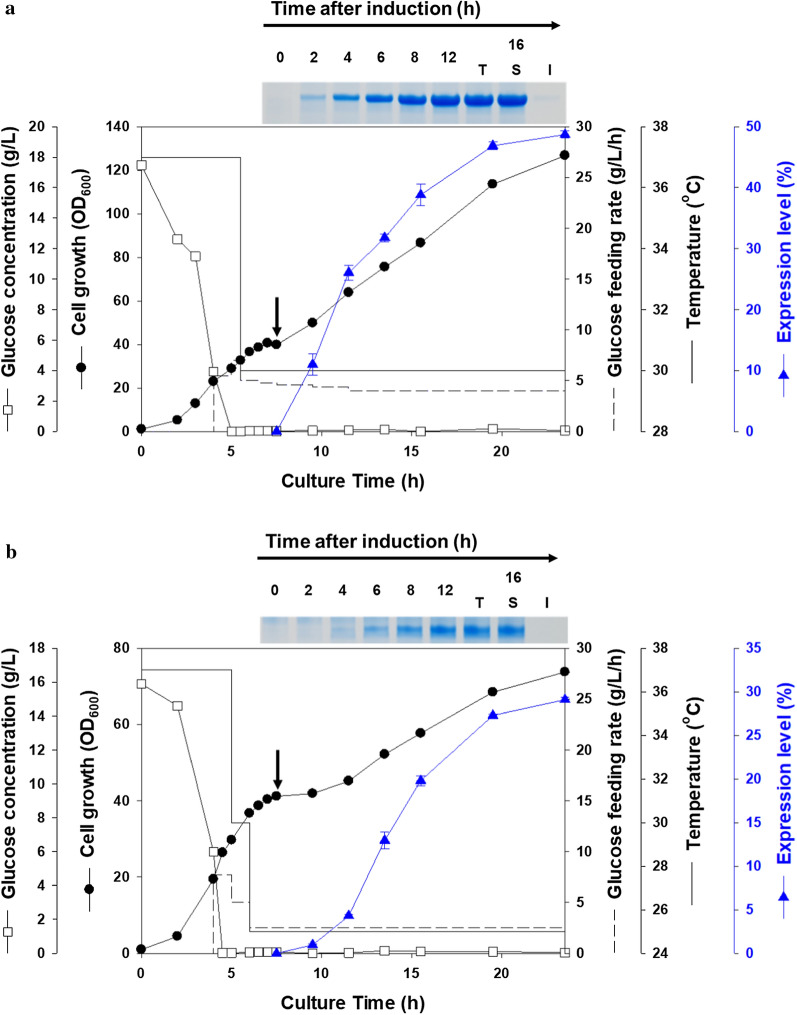 Fig. 4