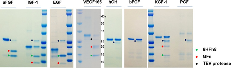 Fig. 3