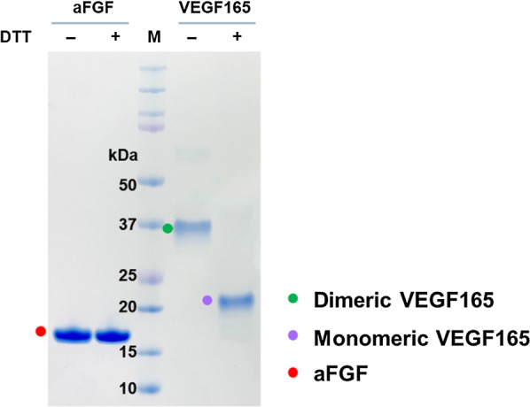 Fig. 7