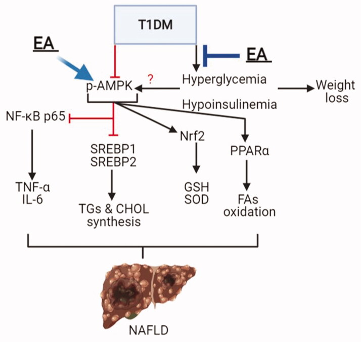 Figure 7.