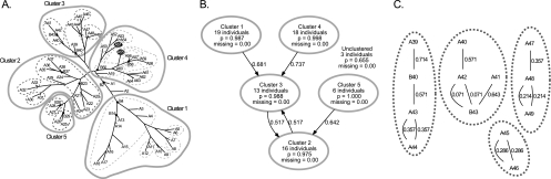 FIG. 2.