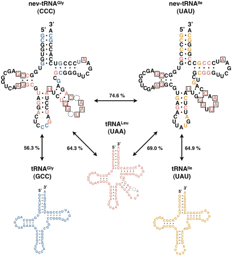 Figure 2.