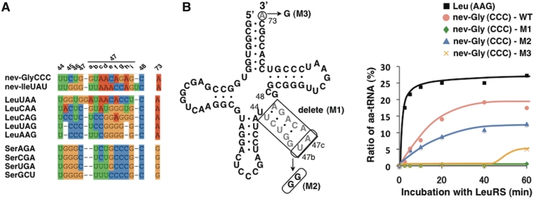 Figure 6.