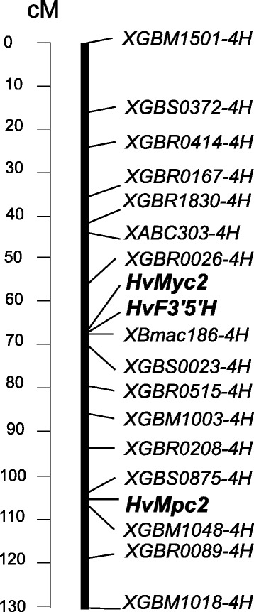 Fig. 5