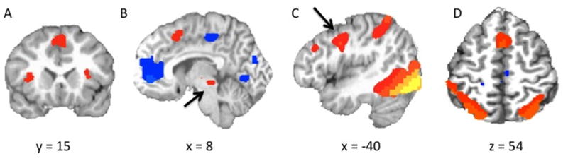 FIGURE 3