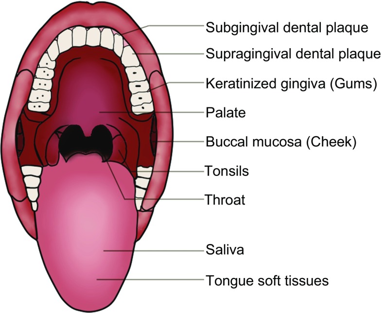 Figure. 1