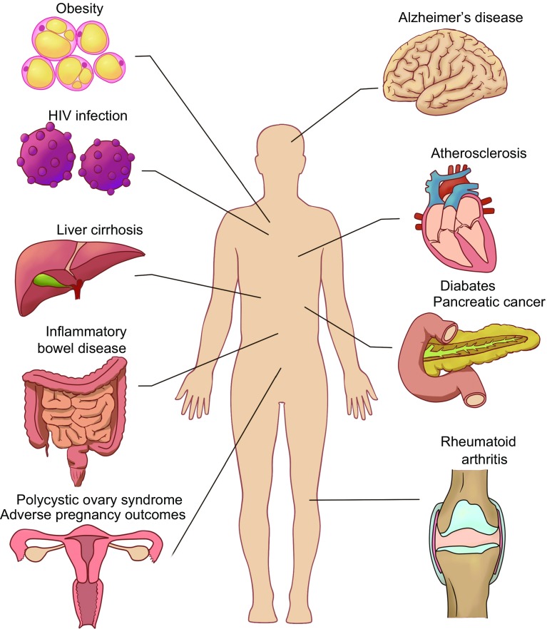 Figure 3