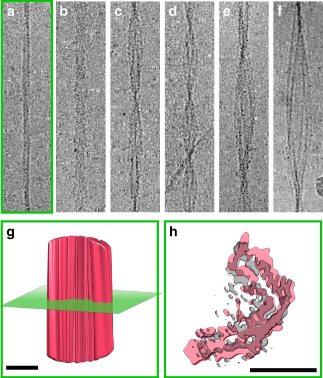 Fig. 6