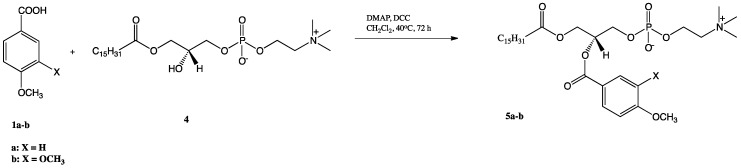 Scheme 2