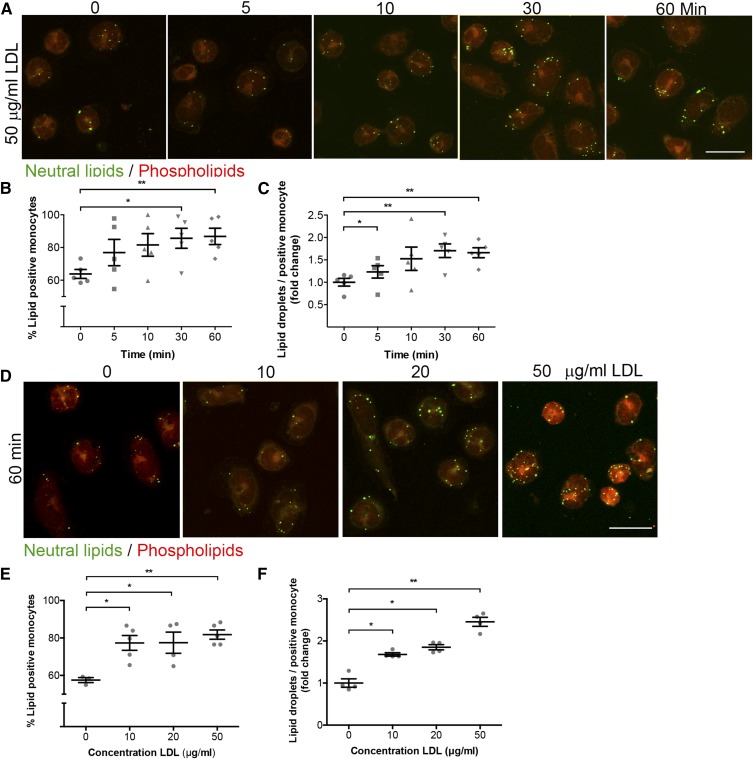 Fig. 3.