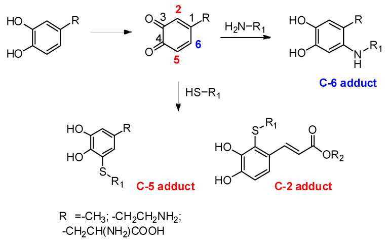 Scheme 7