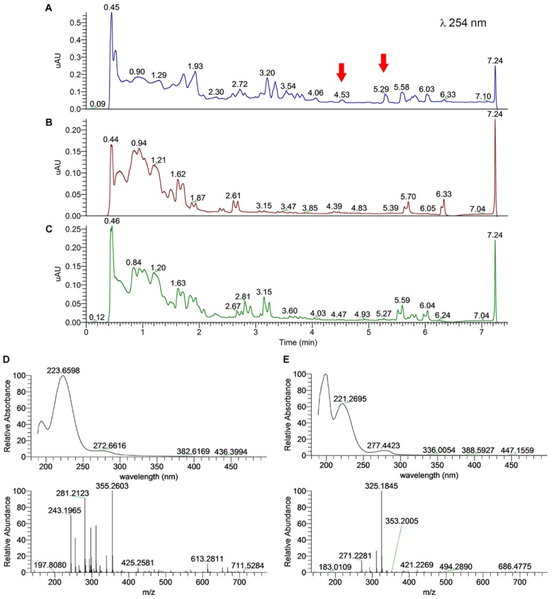 FIGURE 5