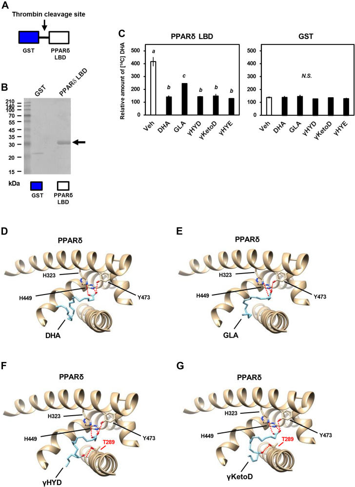 Figure 4