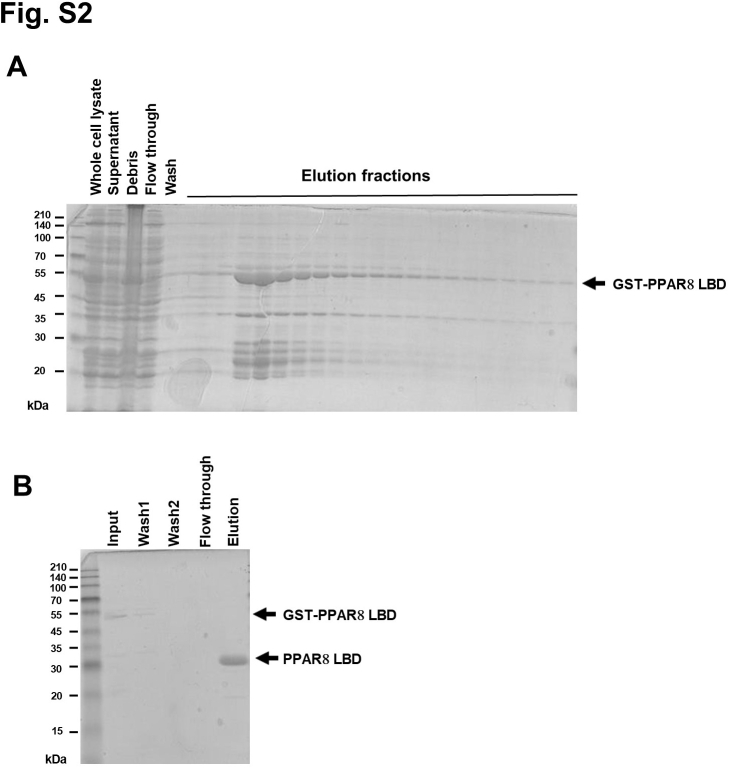 Fig.S4