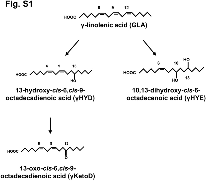 Fig.S3