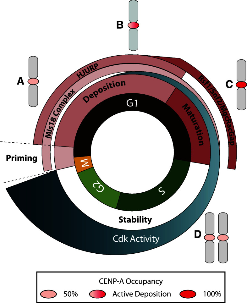 Fig. 3