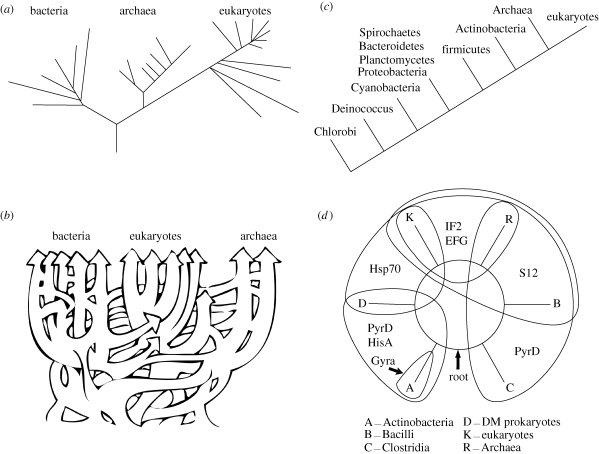 Figure 1.